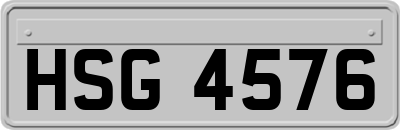 HSG4576