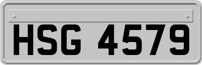 HSG4579