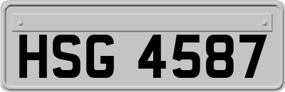 HSG4587