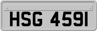 HSG4591