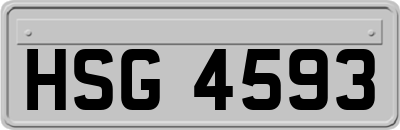 HSG4593