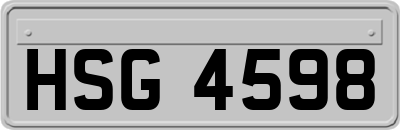 HSG4598