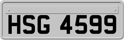 HSG4599