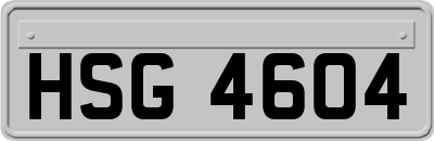 HSG4604