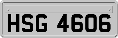 HSG4606