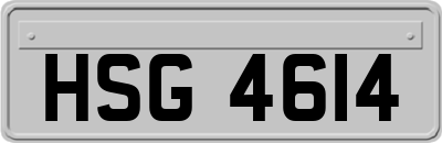 HSG4614