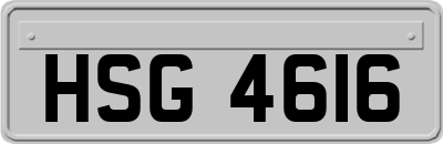 HSG4616
