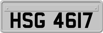 HSG4617