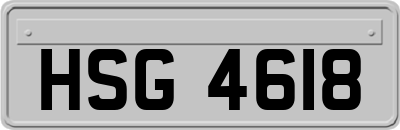 HSG4618