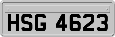 HSG4623