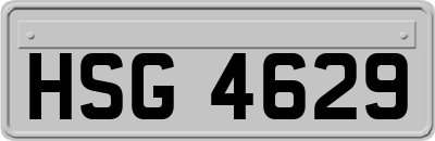 HSG4629