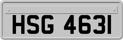 HSG4631