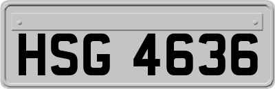 HSG4636