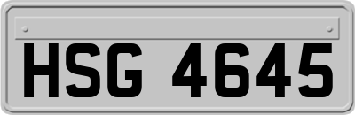 HSG4645