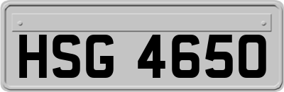 HSG4650