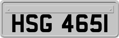 HSG4651