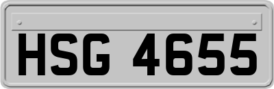 HSG4655