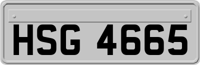 HSG4665