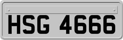 HSG4666