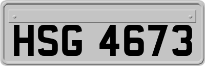 HSG4673