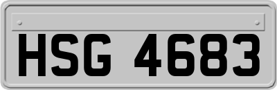 HSG4683