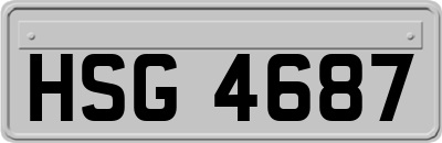 HSG4687