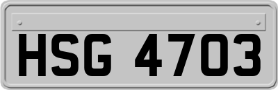 HSG4703