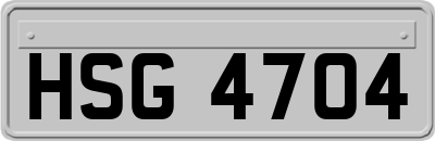HSG4704
