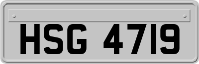 HSG4719