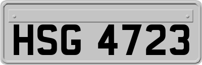 HSG4723