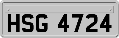 HSG4724