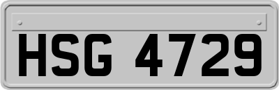 HSG4729