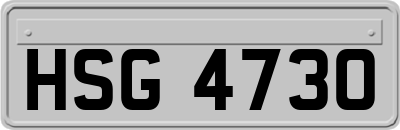 HSG4730