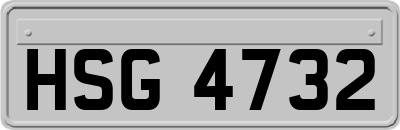 HSG4732