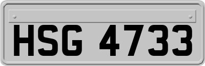 HSG4733