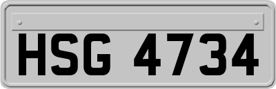 HSG4734
