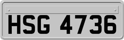 HSG4736