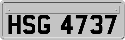 HSG4737