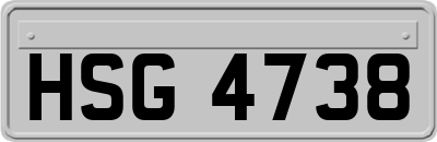 HSG4738