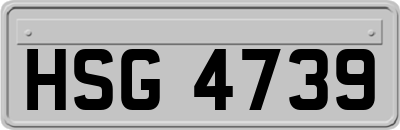 HSG4739