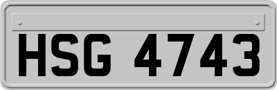 HSG4743
