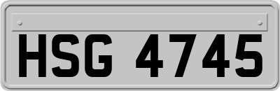 HSG4745