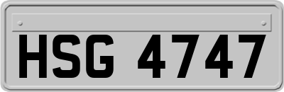 HSG4747