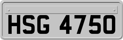 HSG4750