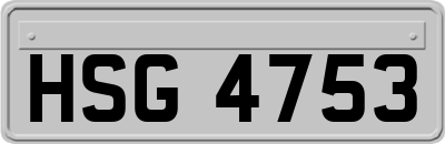 HSG4753