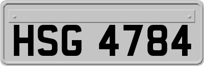HSG4784