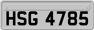HSG4785