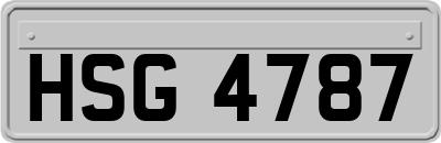 HSG4787