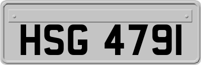 HSG4791