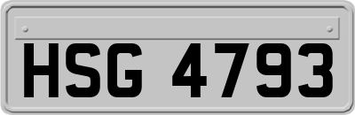 HSG4793